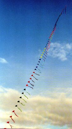 55er Eddykette [(BxH) 105 x 95 mm ]