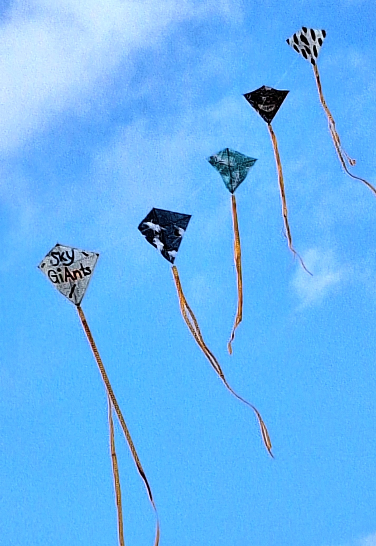 6er Eddykette [(BxH) 105 x 95 mm ]