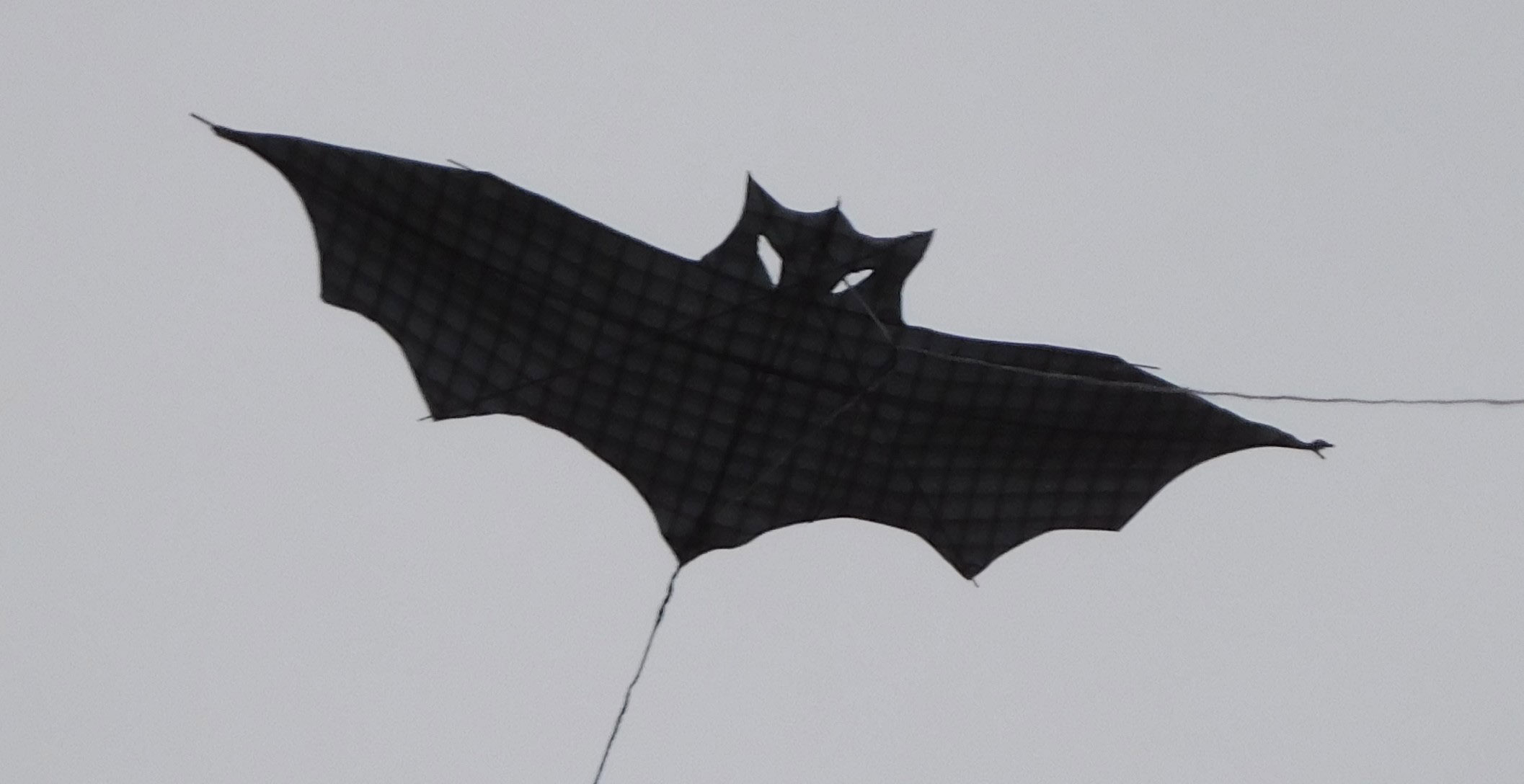 Fledermaus-sw: (BxH) 150 x 65 mm