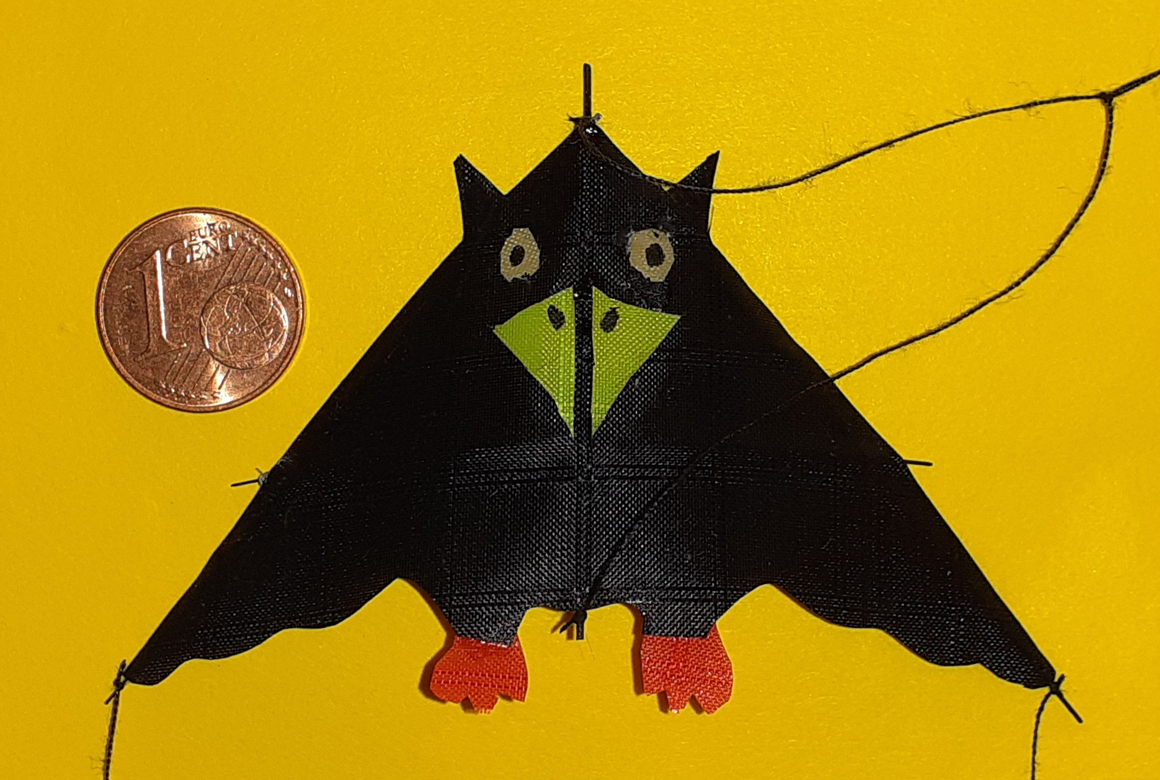 Rudi: (BxH) 70 x 45 mm