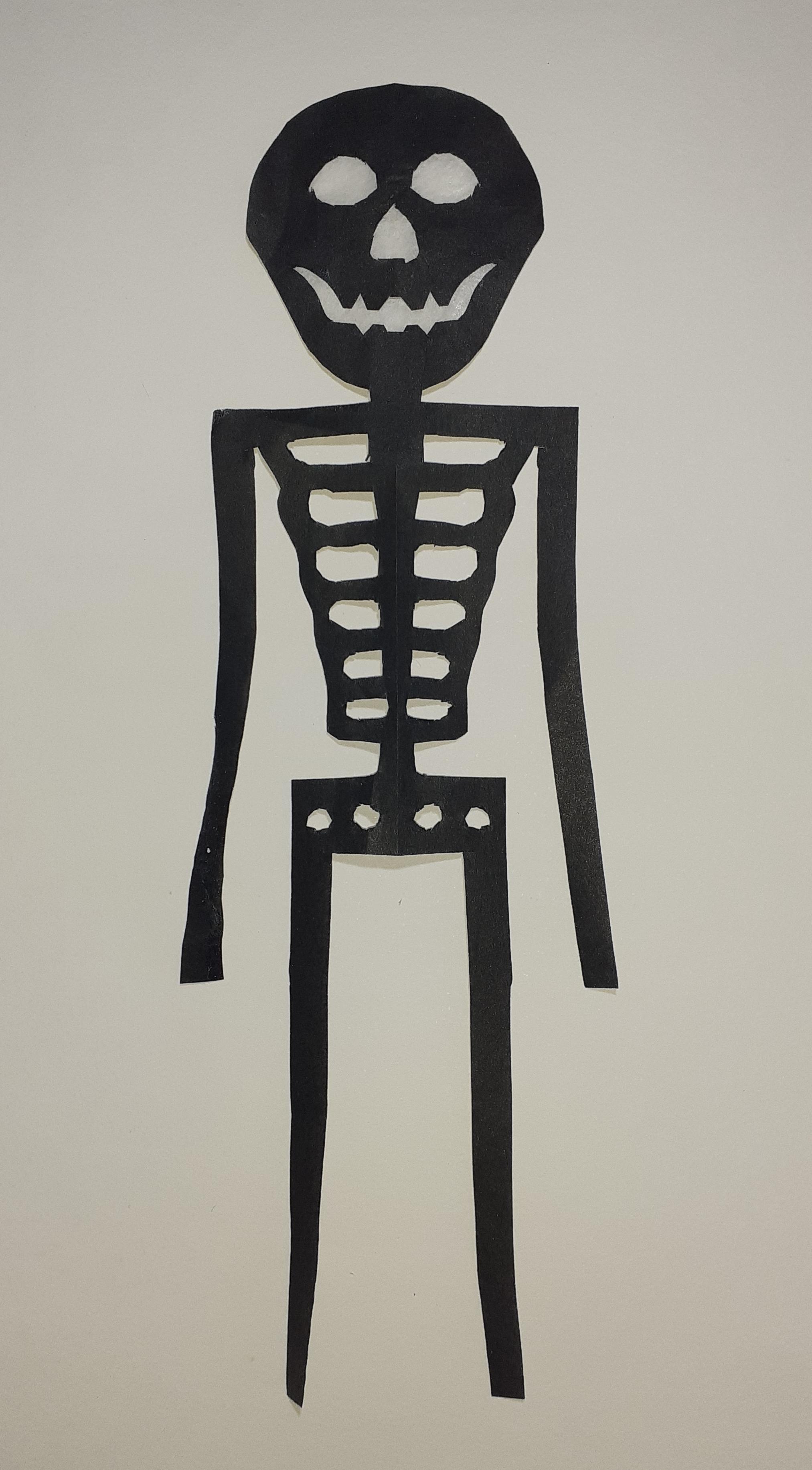 Skelett: (BxH) 50 x 185 mm