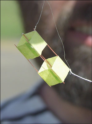 Kastendrachen vor Wilfried [(BxTxL) 9 x 9 x 29 mm]