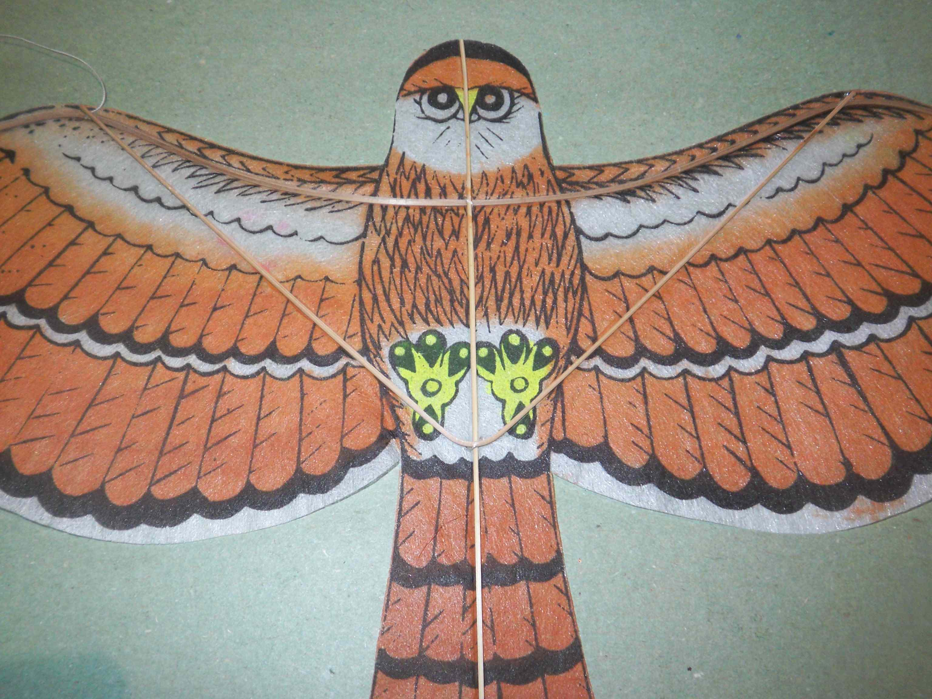 Adler: (BxH) xxx x xxx mm