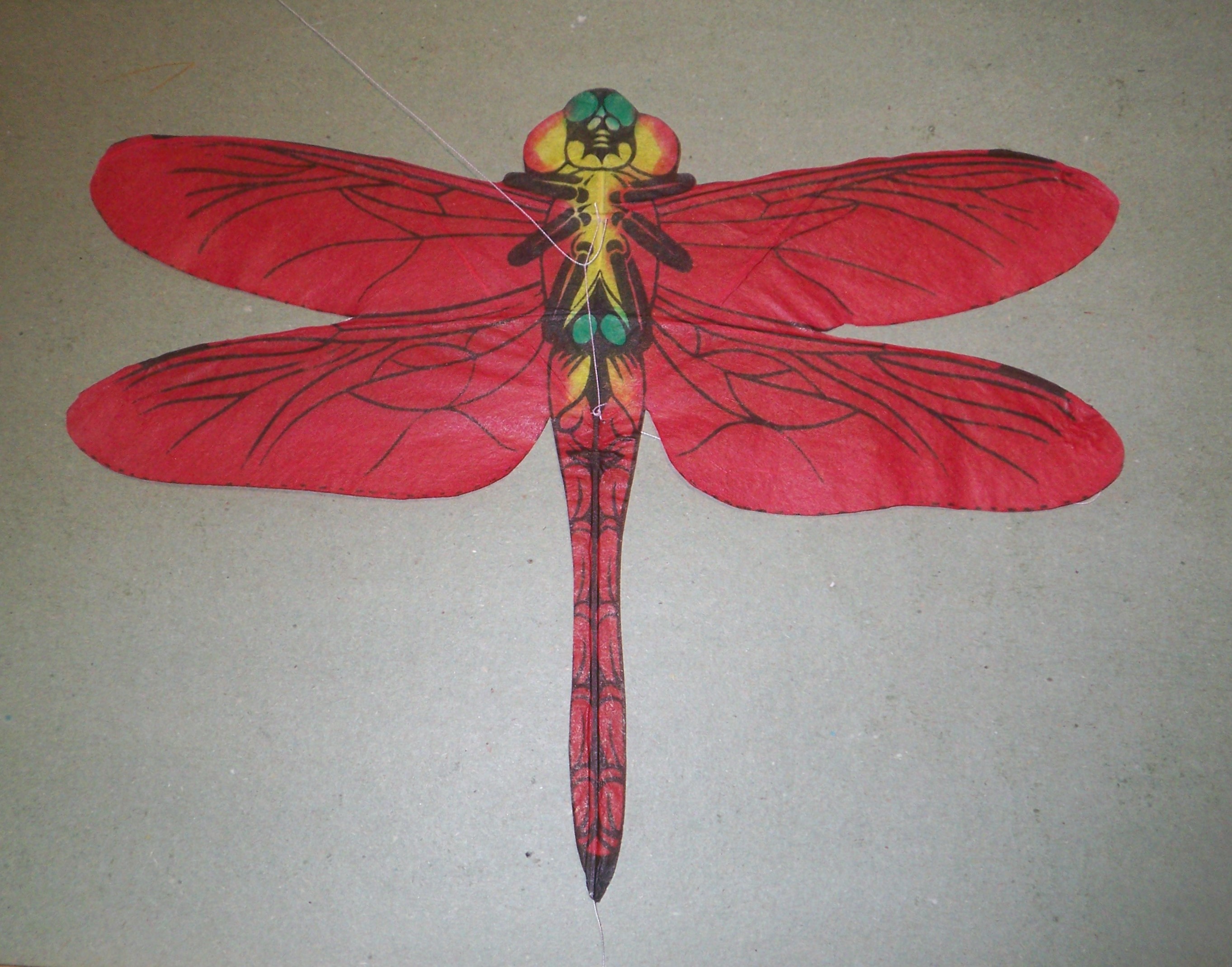 Libelle [(BxH) 270 x 210 mm]