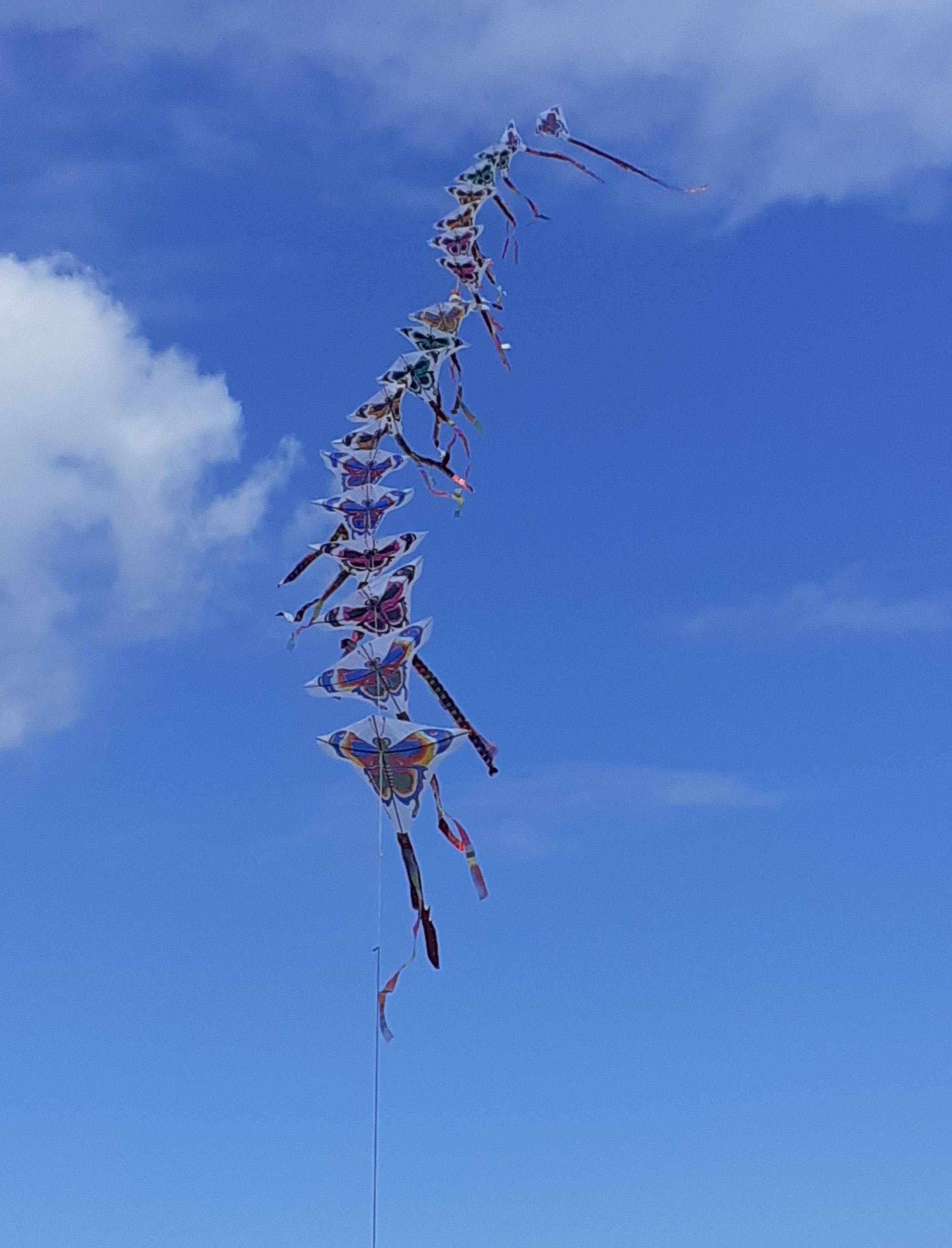 Kinderdrachenkette  [(BxH) xxx x xxx mm]