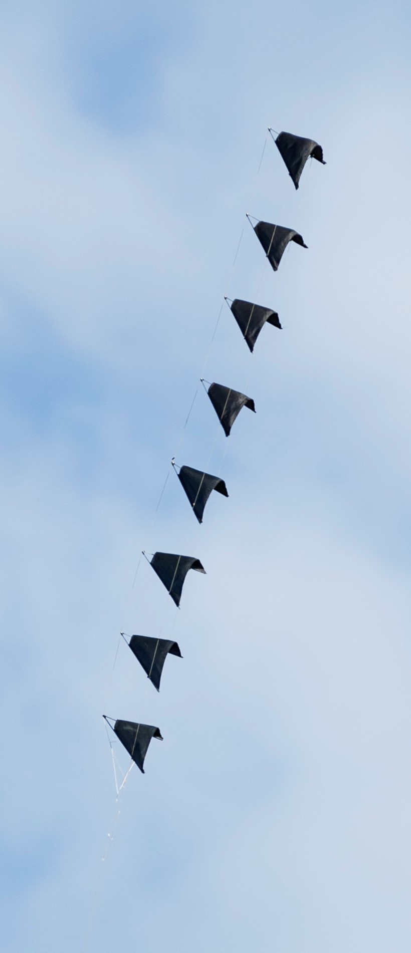 8er Speedies [(BxH)  260 x 110 mm, ca. 1,50 m lang]